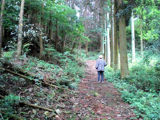 烏岳　大分