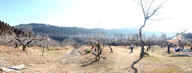 栗灰山