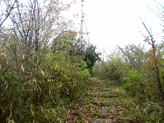 白鹿山