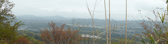 白鹿山