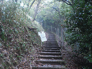 白鹿山